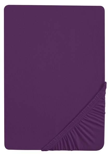 Biberna Žerzejové napínací prostěradlo (90-100 x 200 cm, fialová) (100226989029)