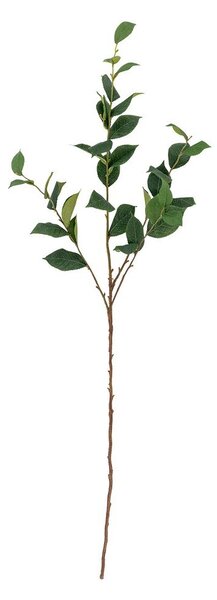 Umělý eukalyptus (výška 110 cm) Eucalyptus – Bloomingville