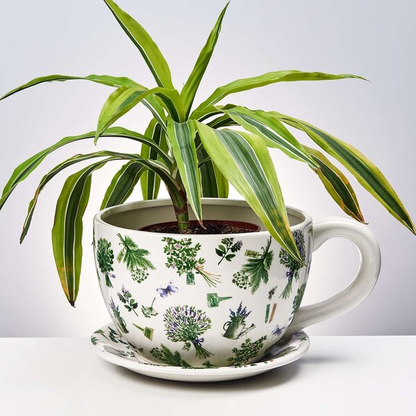 PLANT A CUP Květináč