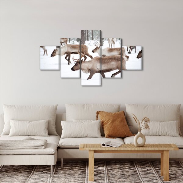 Obraz - Sobi (125x70 cm)