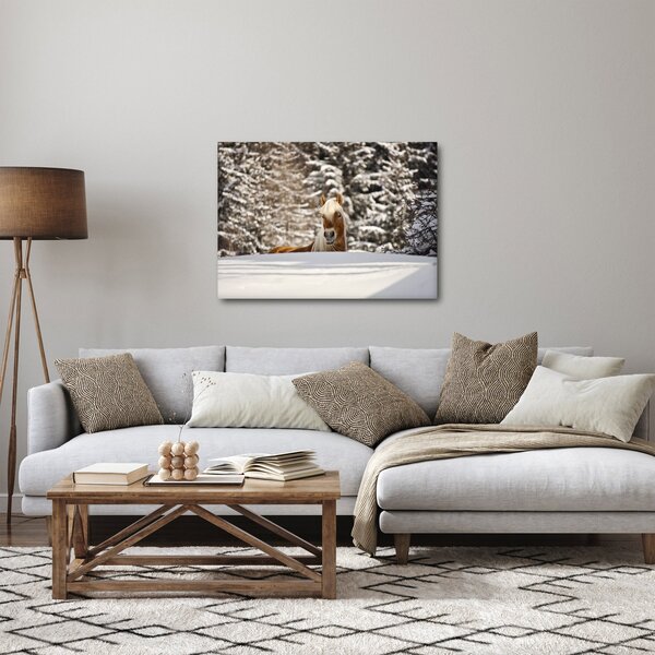 Obraz - Kůň v zimní krajině (70x50 cm)