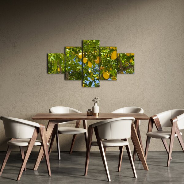 Obraz - Citrónovník (125x70 cm)