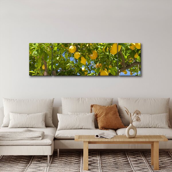 Obraz - Citrónovník (170x50 cm)