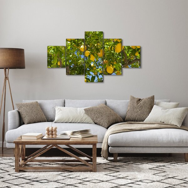 Obraz - Citrónovník (125x70 cm)
