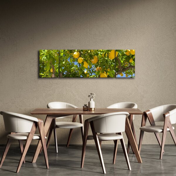 Obraz - Citrónovník (170x50 cm)