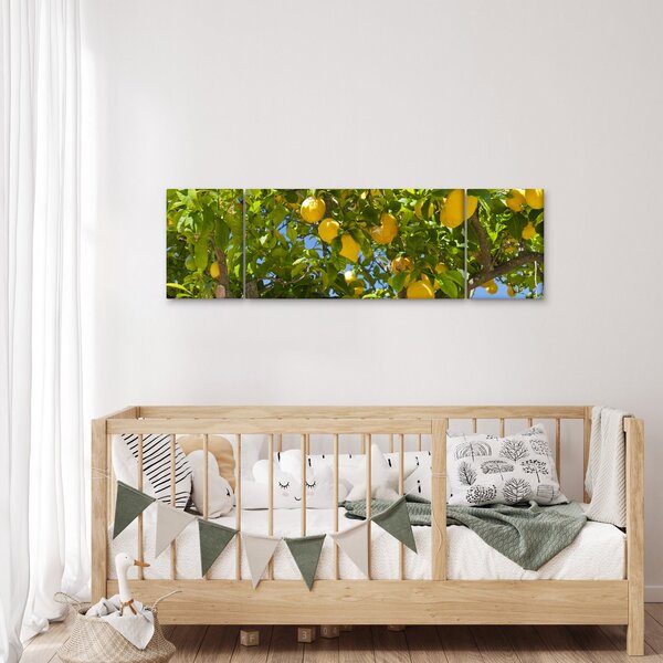 Obraz - Citrónovník (170x50 cm)