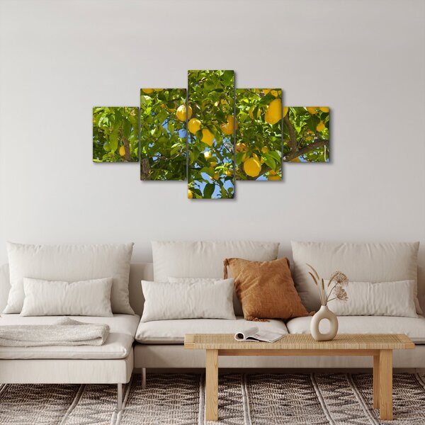 Obraz - Citrónovník (125x70 cm)