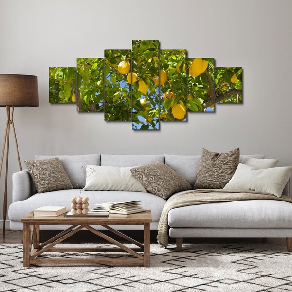 Obraz - Citrónovník (210x100 cm)