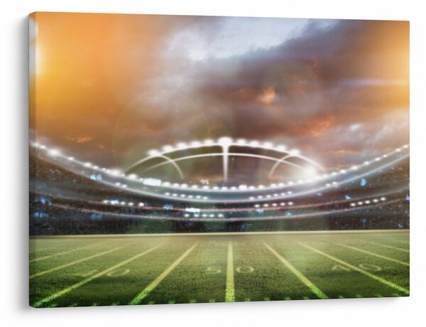 Obraz - Stadion (70x50 cm)