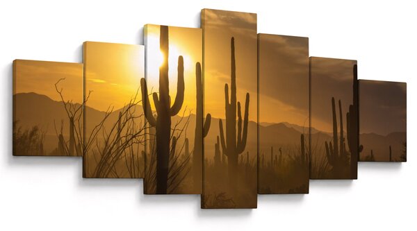 Obraz - Kaktusy Saguaro (210x100 cm)