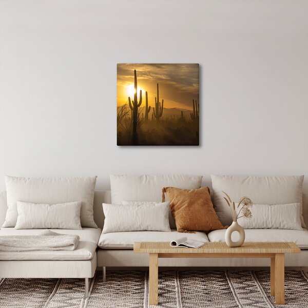 Obraz - Kaktusy Saguaro (30x30 cm)