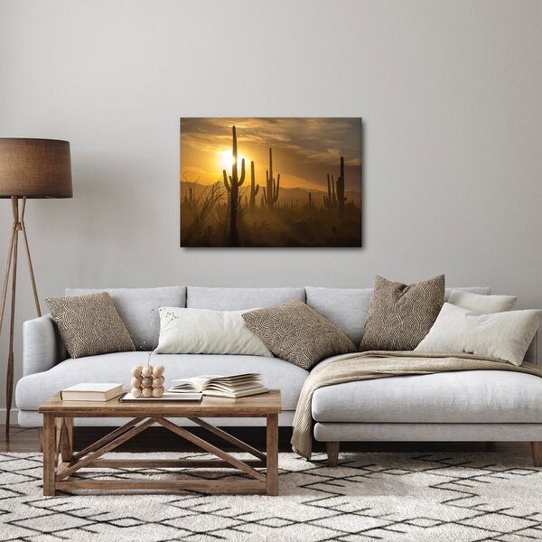 Obraz - Kaktusy Saguaro (70x50 cm)