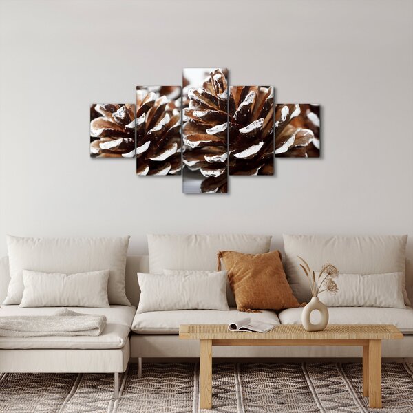 Obraz - Šišky (125x70 cm)