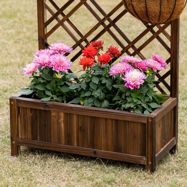 Outsunny Dřevěný Květináč s Trellis a Rámem pro Popínavé Rostliny na Terase nebo Balkonu 60x30x122,5 cm Hnědá | Aosom
