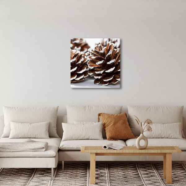 Obraz - Šišky (30x30 cm)