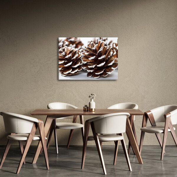 Obraz - Šišky (70x50 cm)