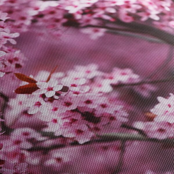 Obraz - Růžová sakura (70x50 cm)