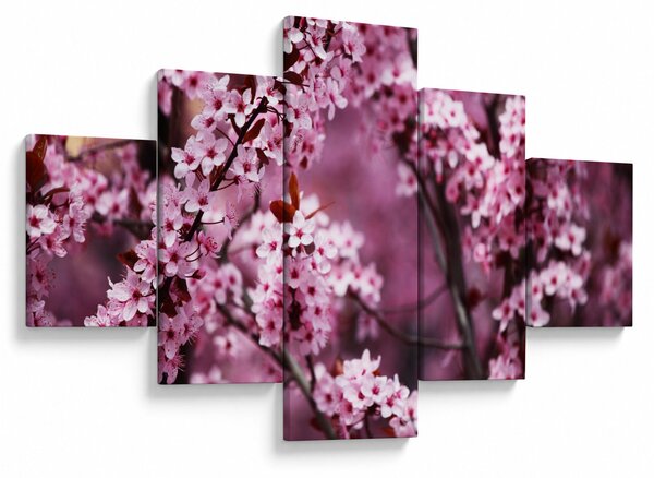 Obraz - Růžová sakura (125x70 cm)