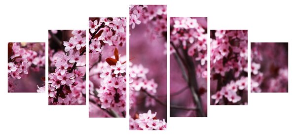 Obraz - Růžová sakura (210x100 cm)