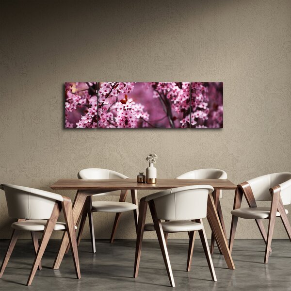 Obraz - Růžová sakura (170x50 cm)