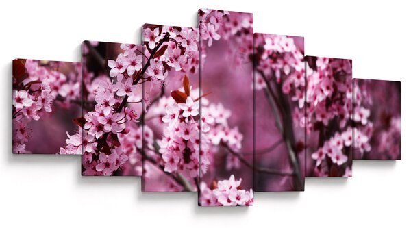 Obraz - Růžová sakura (210x100 cm)