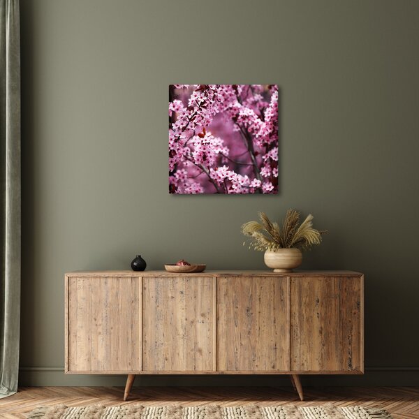 Obraz - Růžová sakura (30x30 cm)