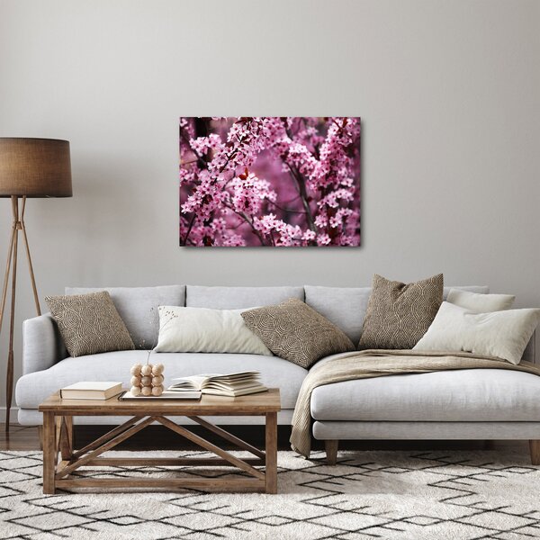 Obraz - Růžová sakura (70x50 cm)