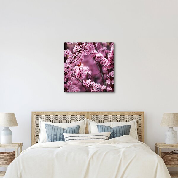 Obraz - Růžová sakura (30x30 cm)