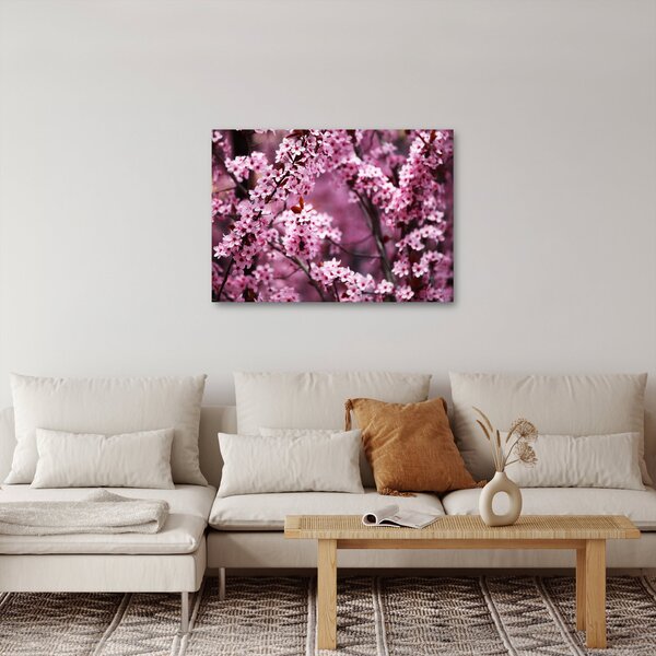 Obraz - Růžová sakura (70x50 cm)