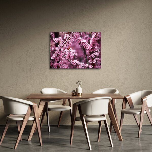 Obraz - Růžová sakura (70x50 cm)