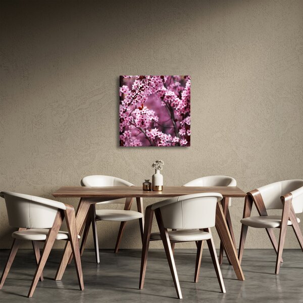 Obraz - Růžová sakura (30x30 cm)