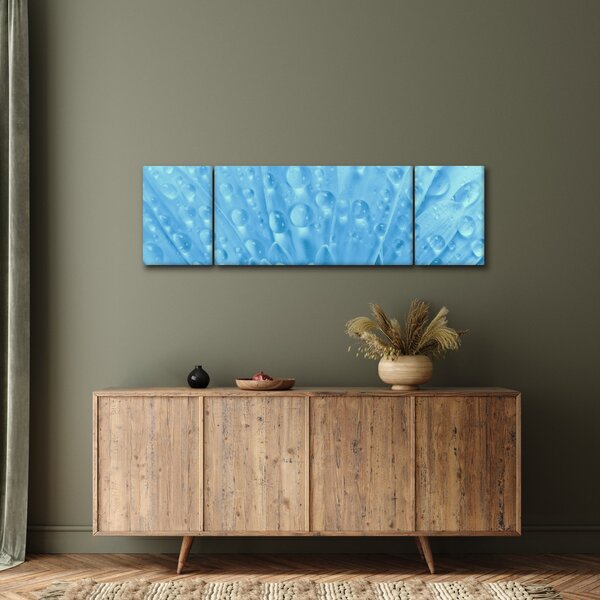 Obraz - Makro záběr květu (170x50 cm)