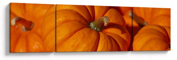 Obraz - Velké dýně (170x50 cm)