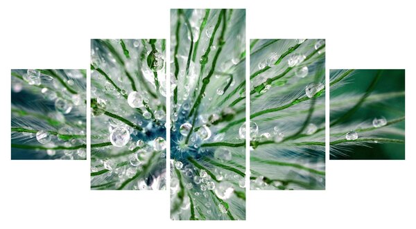 Obraz - Makro snímek květu (125x70 cm)