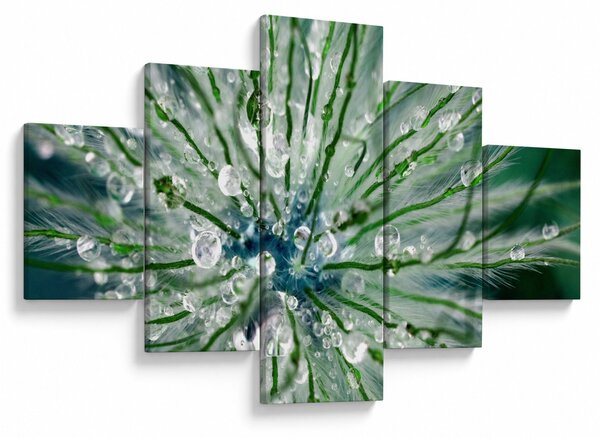 Obraz - Makro snímek květu (125x70 cm)