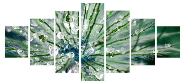 Obraz - Makro snímek květu (210x100 cm)
