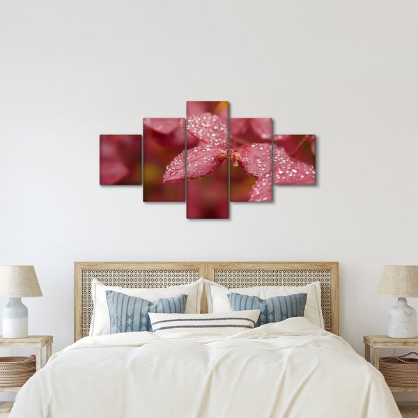 Obraz - Makro snímek lístku (125x70 cm)