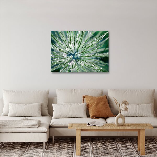 Obraz - Makro snímek květu (70x50 cm)