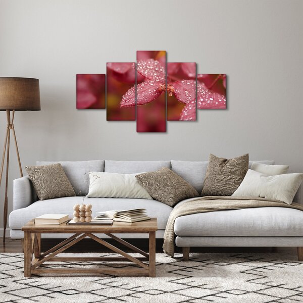 Obraz - Makro snímek lístku (125x70 cm)