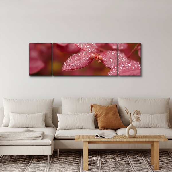 Obraz - Makro snímek lístku (170x50 cm)