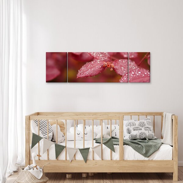 Obraz - Makro snímek lístku (170x50 cm)