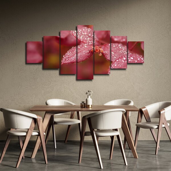 Obraz - Makro snímek lístku (210x100 cm)