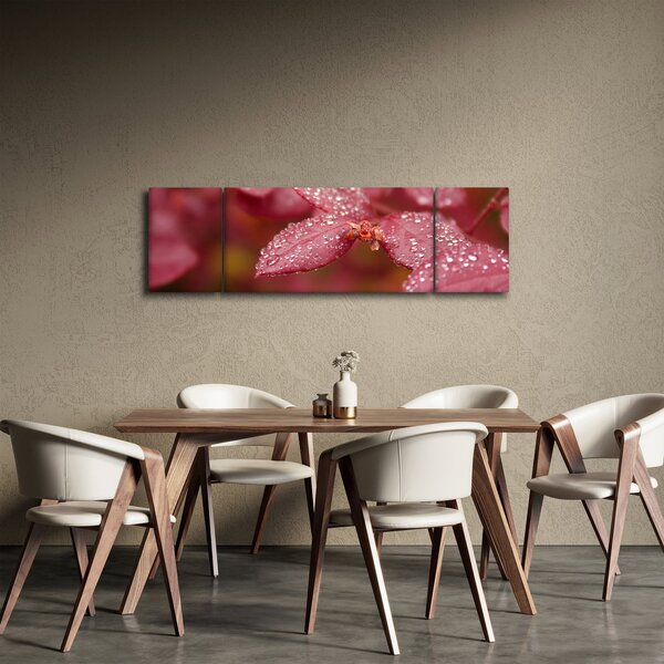 Obraz - Makro snímek lístku (170x50 cm)