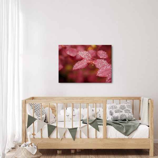 Obraz - Makro snímek lístku (70x50 cm)