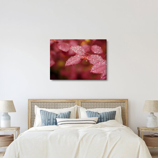 Obraz - Makro snímek lístku (70x50 cm)