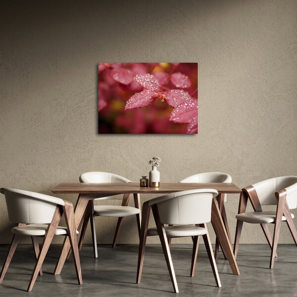 Obraz - Makro snímek lístku (70x50 cm)