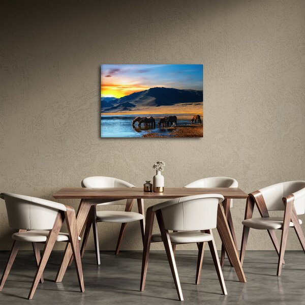 Obraz - Napajedlo (70x50 cm)