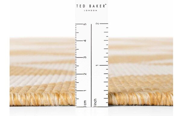 Okrově žlutý/krémový vnitřní a venkovní běhoun 80x200 cm Haringey Terrick – Ted Baker