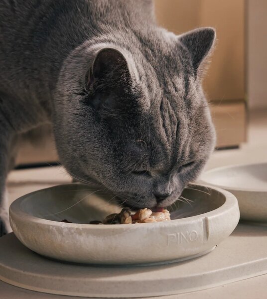PINO PETS Miska pro kočky PINO | mramorované provedení Marble | Whisker Friendly | různé barvy Barva: Salmon Terra (mramorovaný vzor)