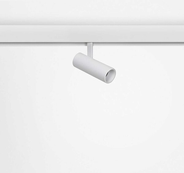 Internova Sottile LED svítidlo pro 48V lištu bílé ⌀40mm - 13WČerná2700K